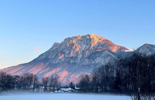 Ferienwohnung Seidenhuhn - Foto 29