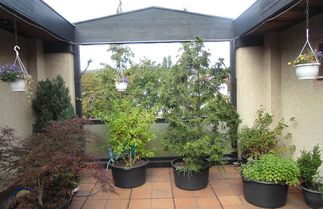 As-Salam Aparthotel - Foto 23