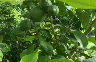 Sweet Dreams - Studio Apartment - Photo 5