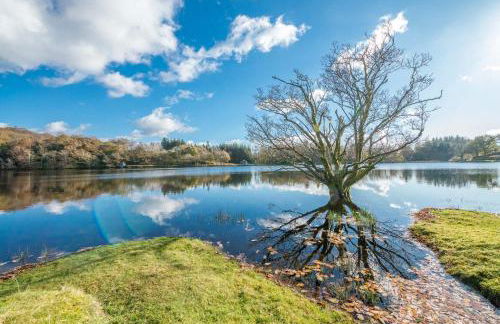 Hywel-Sele-Lodge - Foto 29