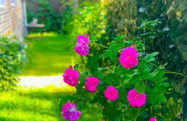 "Casa20200" 2 x Apartments je 150qm für Business, Familien, Gruppen, Handwerker 15min von BERLIN, Erdbeerhof, Outlet B5, 5min vom See Falkensee !! 2 Apartment each 150qm for BUSINESS , FAMILIES 15min from BERLIN!! - Foto 28