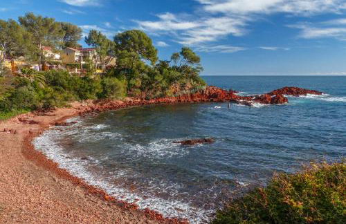 Un grand studio face au port de Santa Lucia - Foto 11