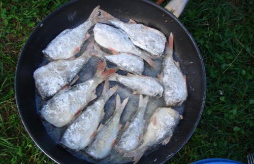 Große Wohnung - Foto 23