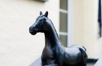 Moderne Ferienwohnung Black Beauty auf idyllischem Reiterhof nähe Burg Eltz - Foto 12