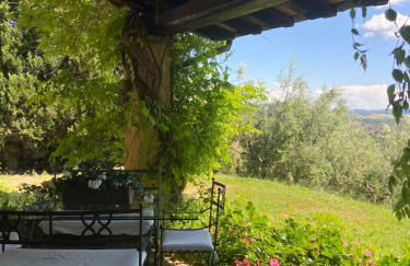 AGRIFOGLIO - Photo 8