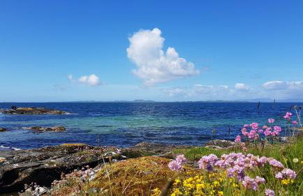 Self-Catering Suite in rural guest house 10 min to Islay Ferry Terminal - Foto 18