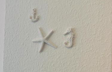 Agata Sea Horse - Foto 23