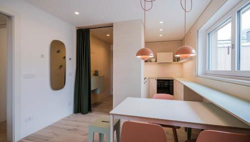 stella alpina - Foto 4