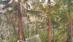 Ferienwohnung 3 Tannen in Bad Kissingen - Foto 2