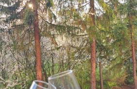 Ferienwohnung 3 Tannen in Bad Kissingen - Foto 2