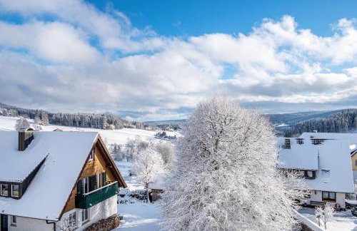 Haus Doktor Saeltzer-bis 9 Personen - Foto 33