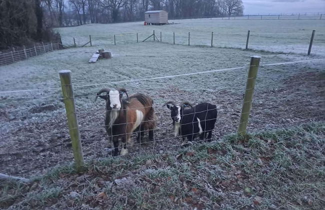 Luxury Shepherds Hut set in a Countryside Setting - Foto 9