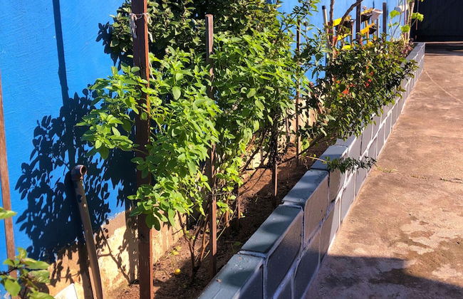 Casa Caribe - Foto 24