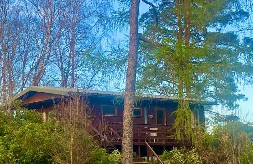 Star Lodges - Photo 8