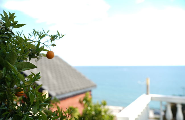 Renka Holiday Houses and Caravan - Foto 48