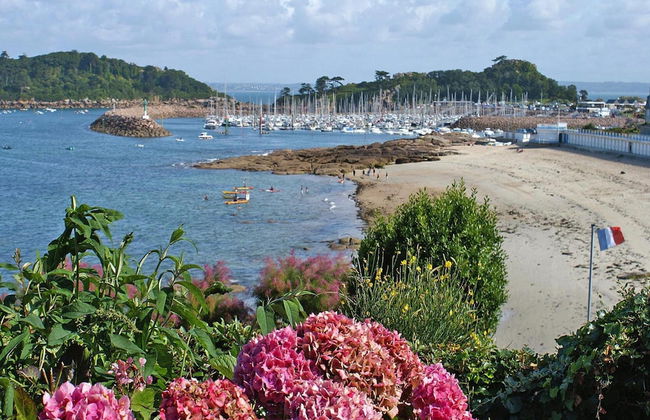 Holiday Home in Trebeurden With Sea View - Foto 17