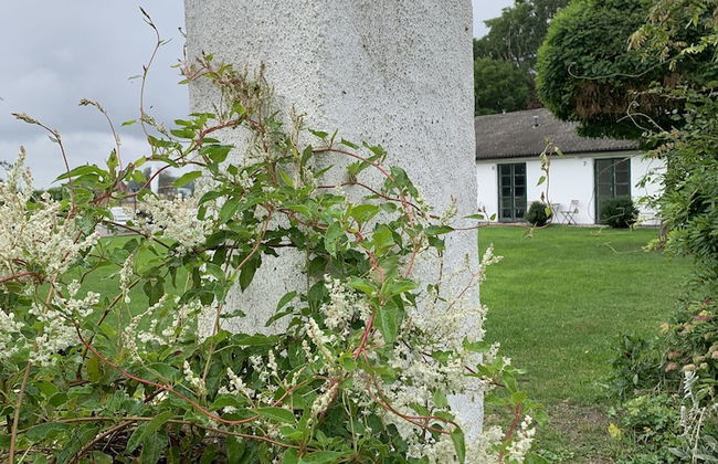 Bäddar & Ängar - Photo 76