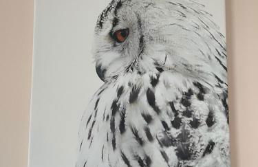 Le Nid de la Chouette by Apparts Spa Dijon - Foto 30