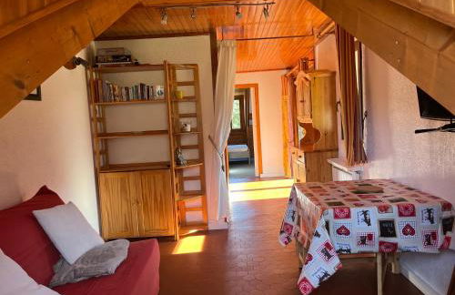 L’écureuil St Léger Les Mélèzes - Photo 11