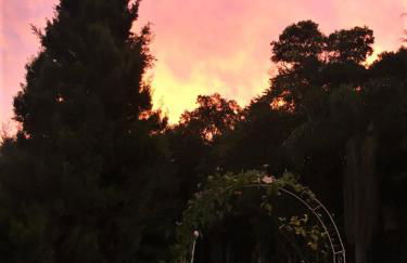 Cabanas dos Sonhos na Serra SC - Foto 26