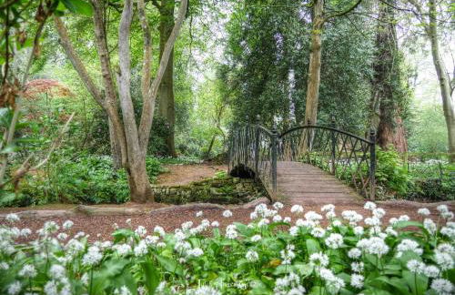 Pilgrim Corner - Photo 45