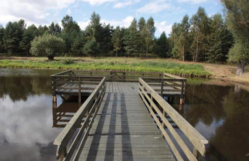 Orlik Mazury - Foto 30