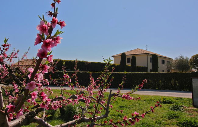 Agriturismo Porta Sirena - Foto 34