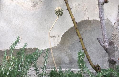 cascina lago - Foto 2