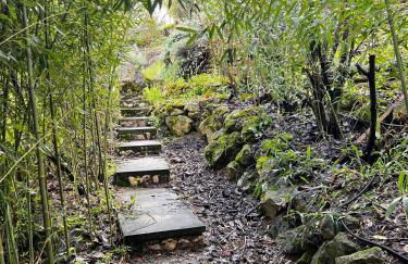 OakTree Villa - Quinta da BellaVista - Foto 41