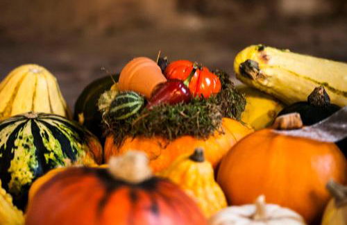 Agriturismo Villa Mocenigo - Photo 61