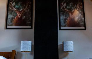 Domki Dream House Resort 606-436-626 - Foto 13