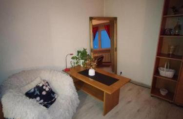 Apartament Manhattan Czechowice Dziedzice - Photo 7