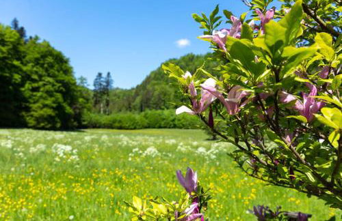 Ganzes Haus mit großem Garten und eigener Sauna - Foto 42
