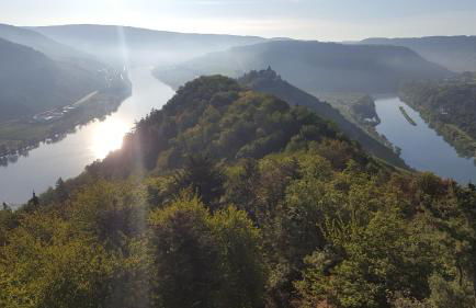 Ferienwohnung "Mosel" - Foto 68