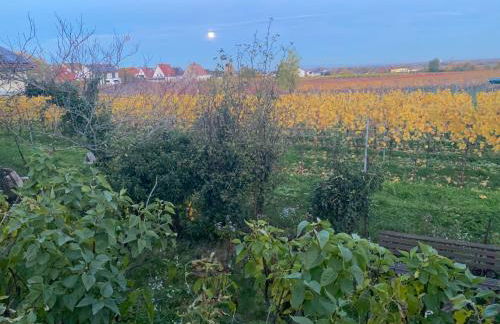 Ferienwohnung Rebenmeer - Foto 15