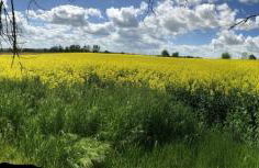 Ferienwohnung Rubitz - Foto 19