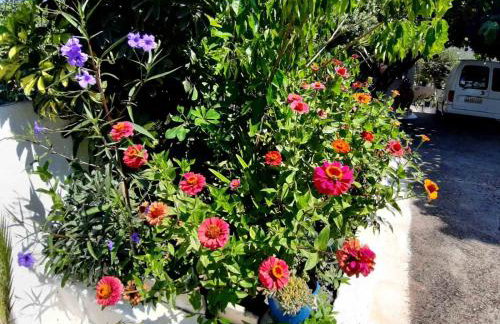 Glyfada's Family Apartment - Photo 8