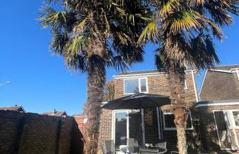 The Palm Tree House - Foto 6