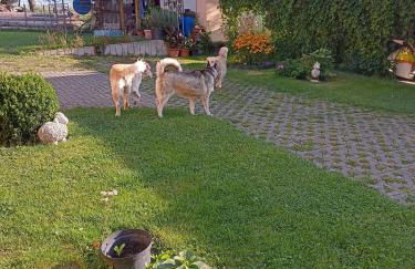 Ferienhof im grünen Herzen - Foto 13