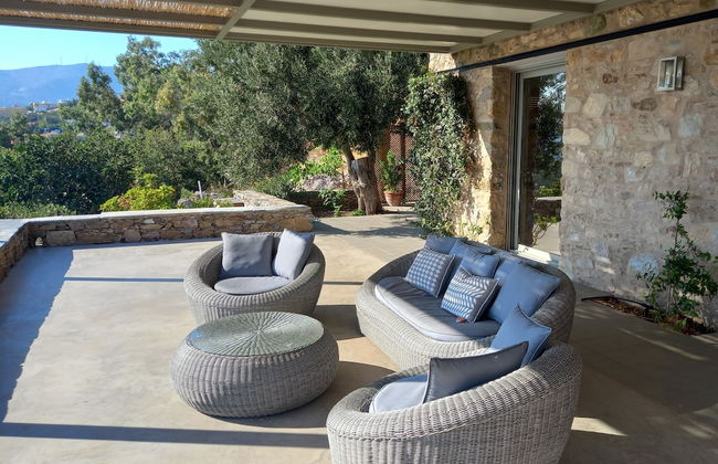 Montofoli Wine Estate - Foto 25