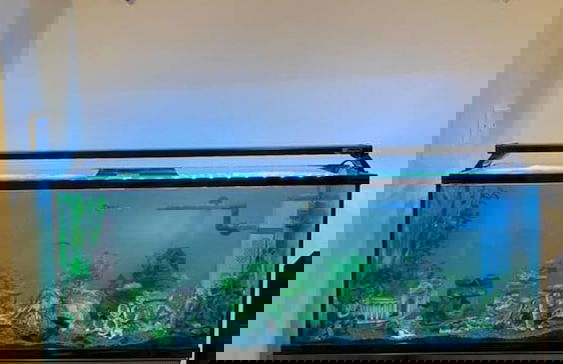 Stunning 1-bed Apartment in London - Foto 12