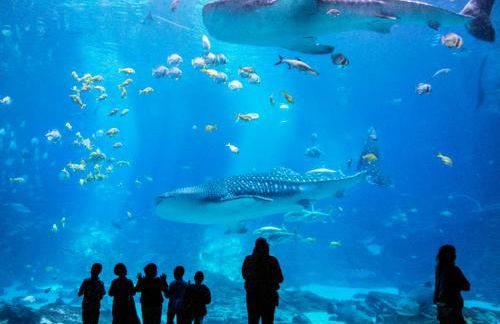 Lovely 5 Bedrooms, 3 Full Baths Home Near Parks! - Foto 48