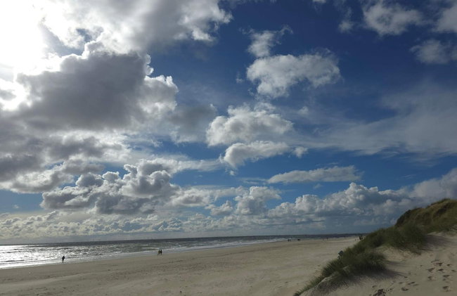 4 Person Holiday Home in Blavand - Foto 24