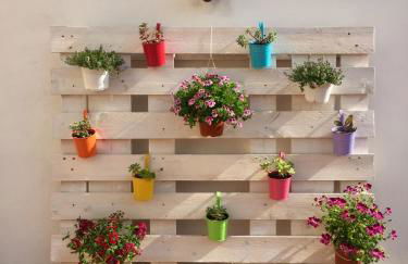 Villa lilly - Foto 19