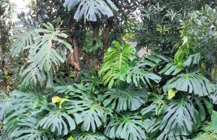 Quinta das rãs - Photo 7