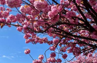 Dat Ferienhus - Foto 42