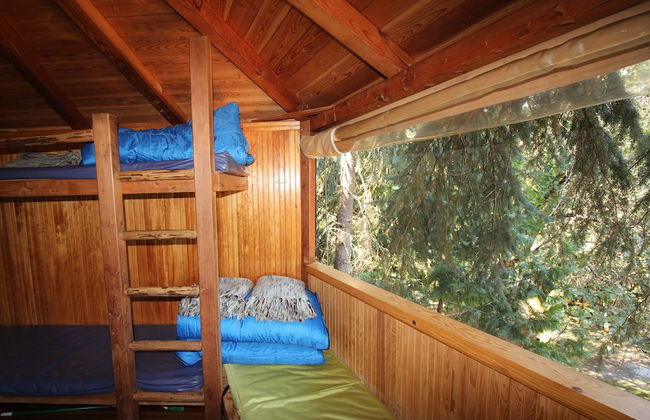 Out 'N' About Treehouse Treesort - Photo 21