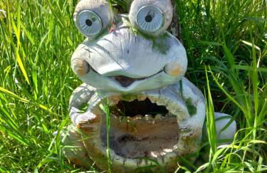 Poggio Gherardo - Foto 26