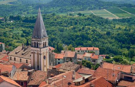 Modern villa Bibali Istra with pool in Buje - Foto 28