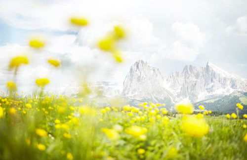 Residence Rumanon - Foto 4